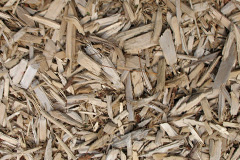 biomass boilers Ynysygwas